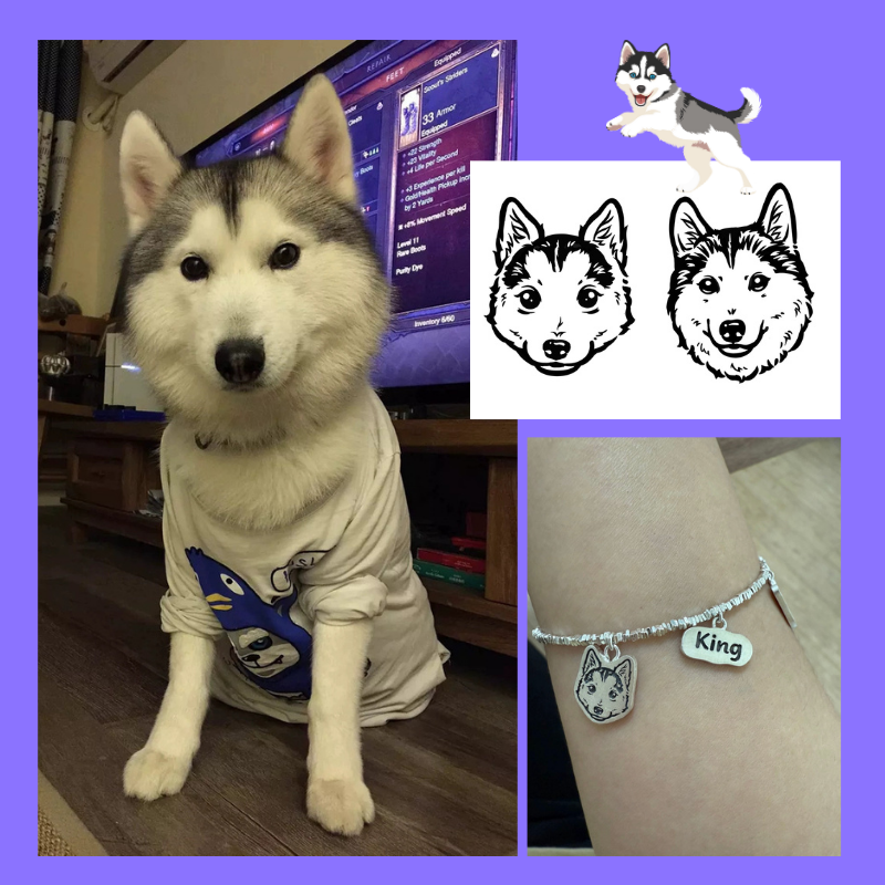 SilverPet Bracelets