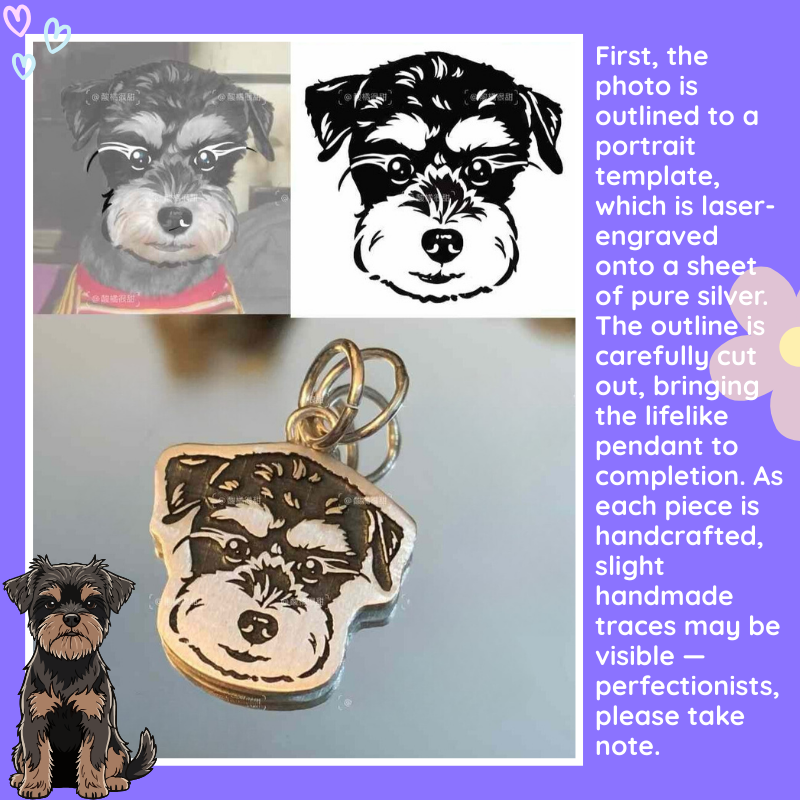 SilverPet Bracelets