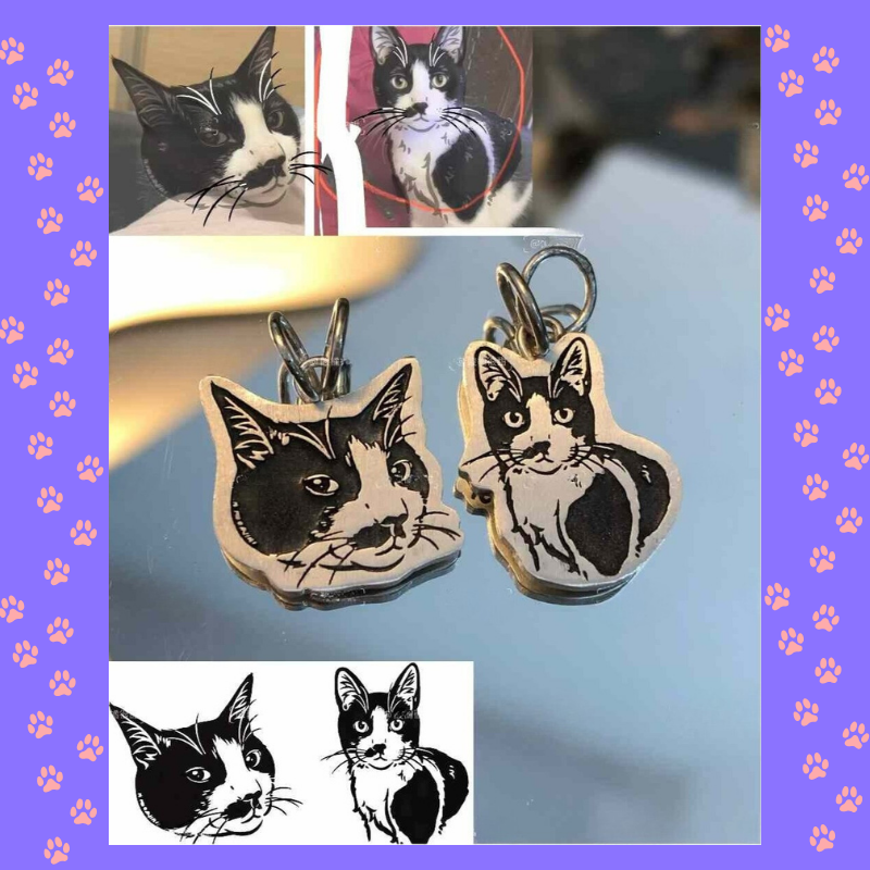 SilverPet Bracelets